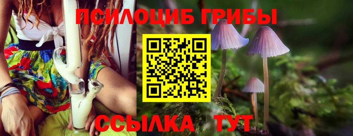 Ртищево  Псилоцибиновые грибы ЛСД  где купить наркотик  Вход с VPN 